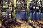 Tivoli Woods Flood 1973 [John Robinson]